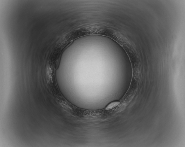 X0000116511010200912161334