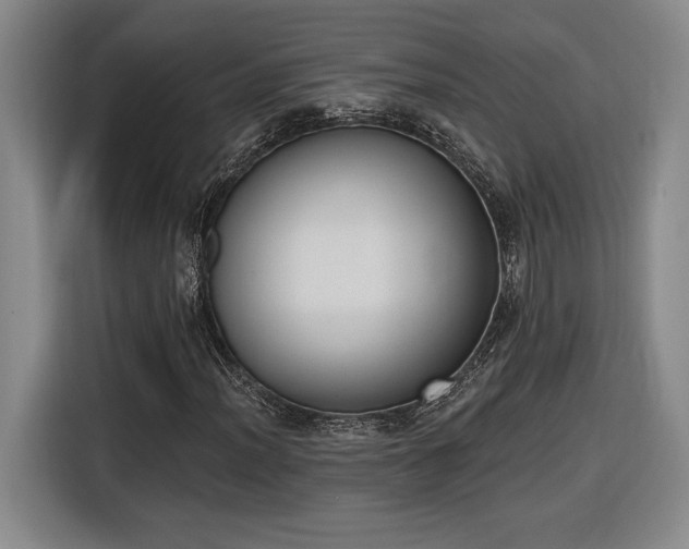 X0000116511012200912161334