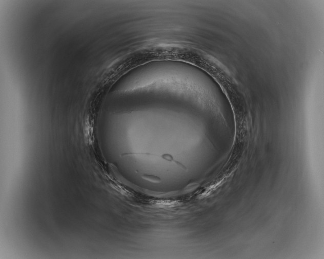 X0000116511013200912161334