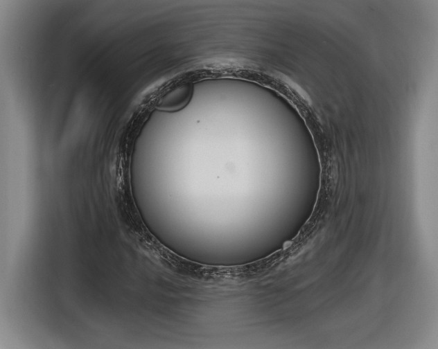 X0000116511016200912161334