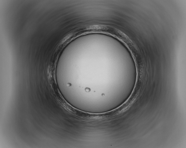 X0000116511017200912161334