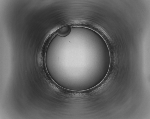 X0000116511018200912161334