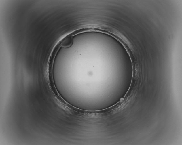 X0000116511020200912161334