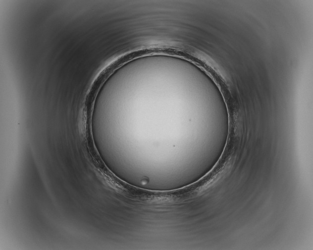 X0000116511021200912161334