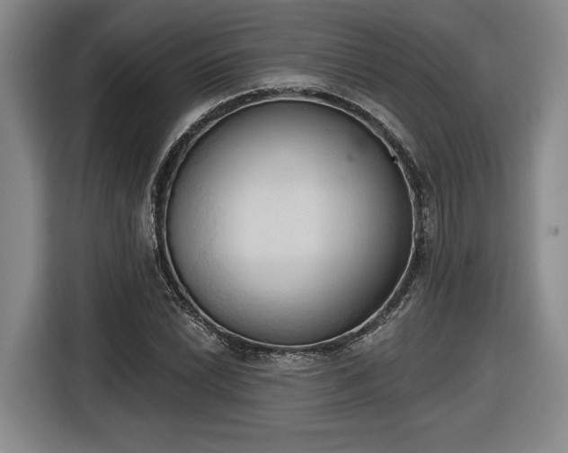 X0000116511022200912161334