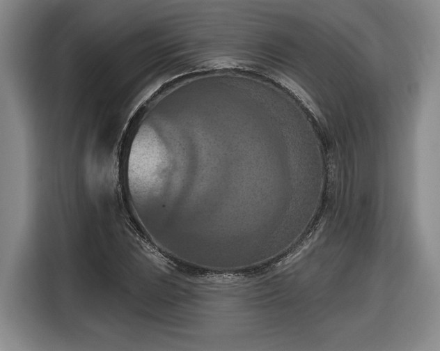 X0000116511023200912161334