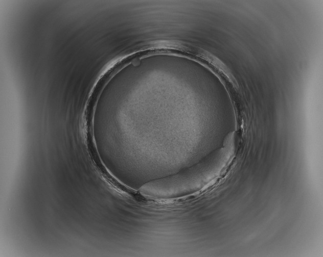 X0000116511024200912161334