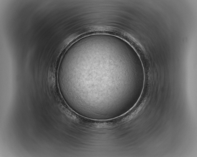 X0000116511025200912161334