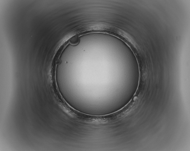 X0000116511026200912161334