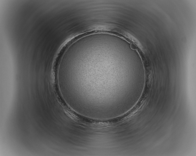 X0000116511027200912161334