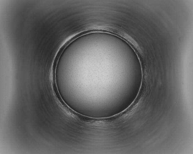 X0000116511028200912161334