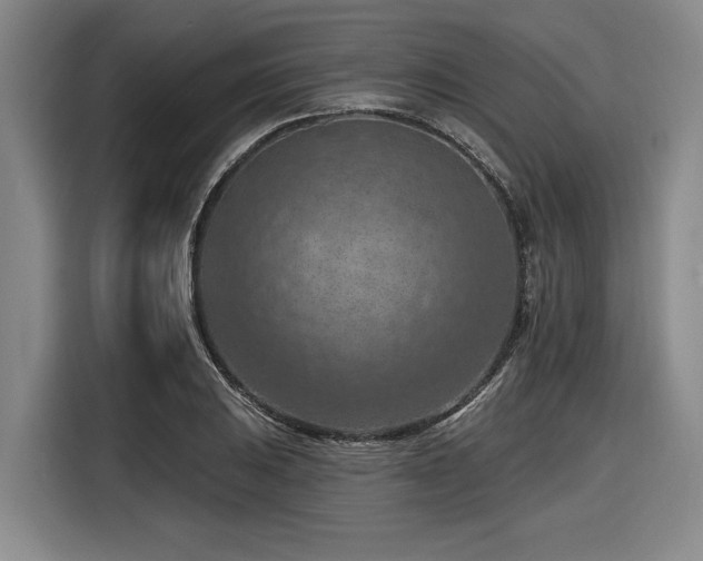 X0000116511031200912161334