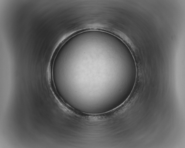 X0000116511032200912161334