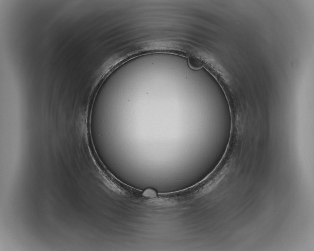 X0000116511033200912161334