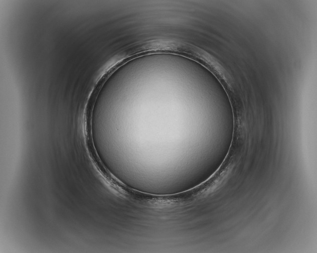 X0000116511034200912161334