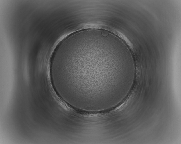 X0000116511035200912161334