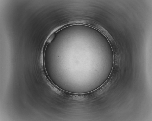 X0000116511036200912161334