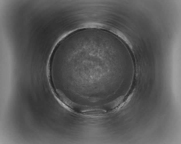 X0000116511037200912161334