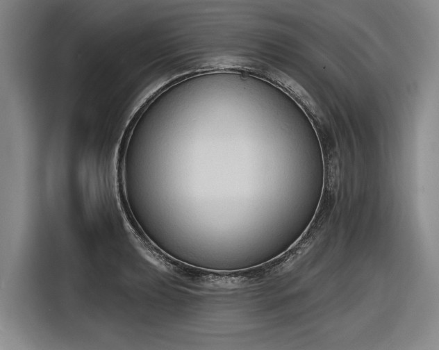 X0000116511039200912161334