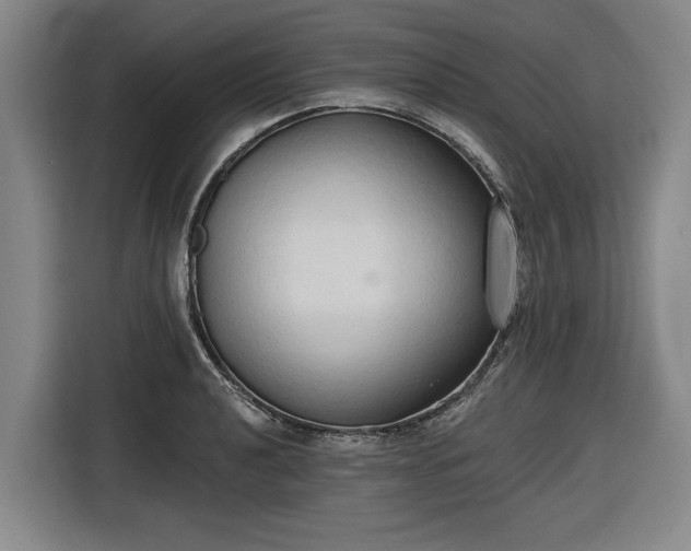 X0000116511040200912161335