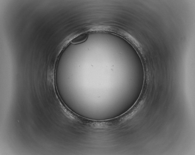 X0000116511041200912161335