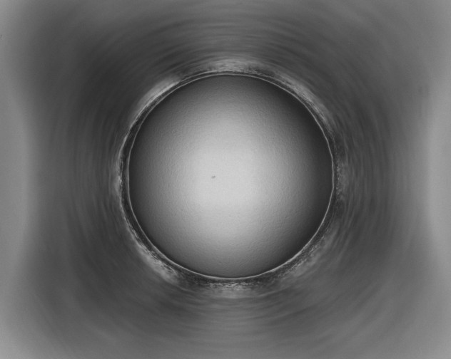 X0000116511042200912161335