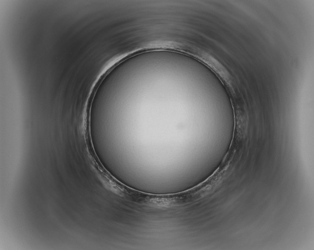 X0000116511044200912161335