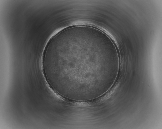 X0000116511045200912161335