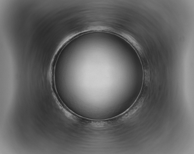 X0000116511046200912161335