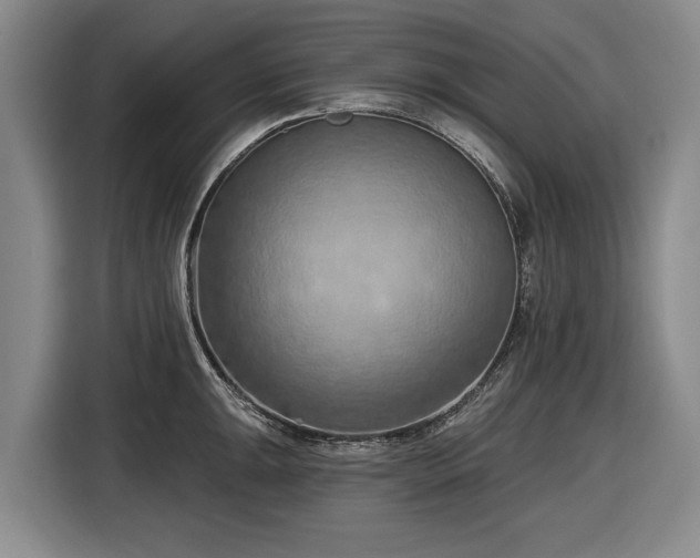 X0000116511047200912161335