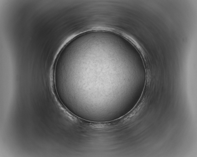 X0000116511048200912161335