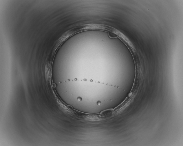 X0000116511049200912161335