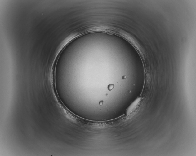 X0000116511050200912161335