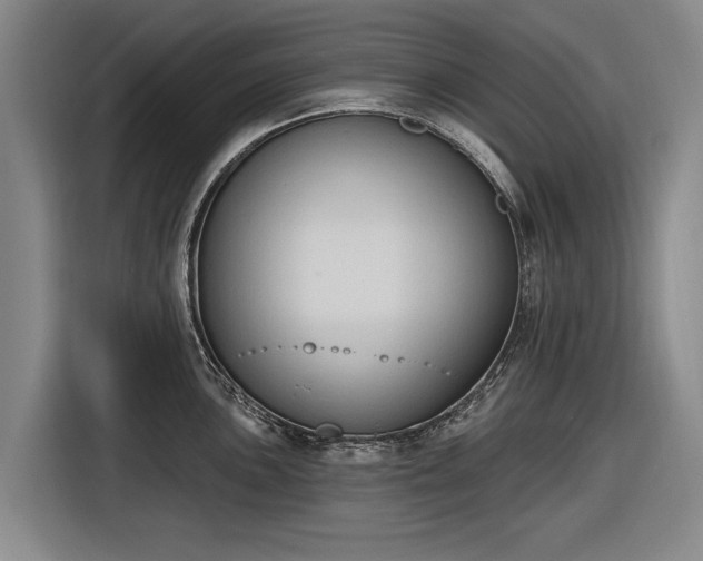 X0000116511051200912161335