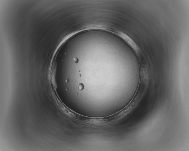 X0000116511052200912161335