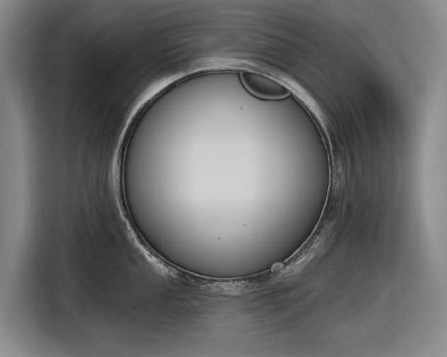 X0000116511053200912161335