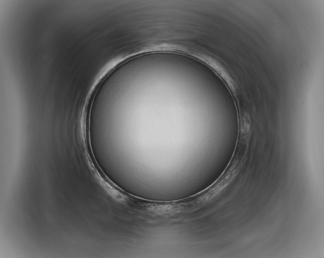 X0000116511054200912161335