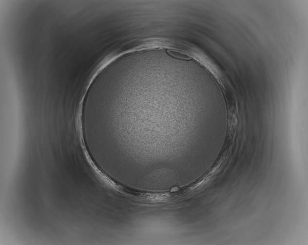 X0000116511055200912161335