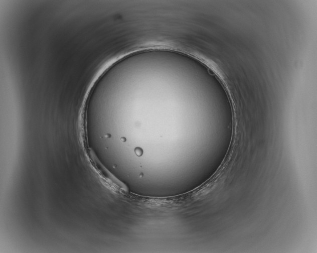 X0000116511056200912161335