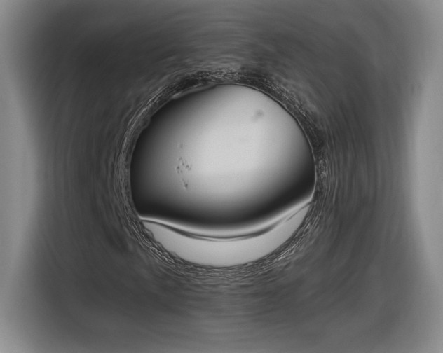 X0000116511057200912161334