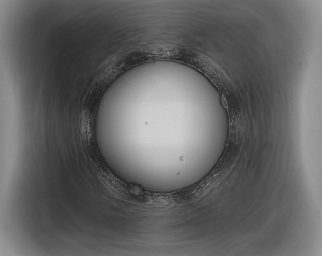 X0000116511058200912161334