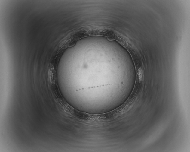 X0000116511059200912161334