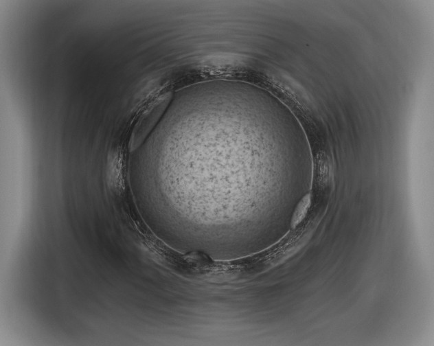 X0000116511060200912161334