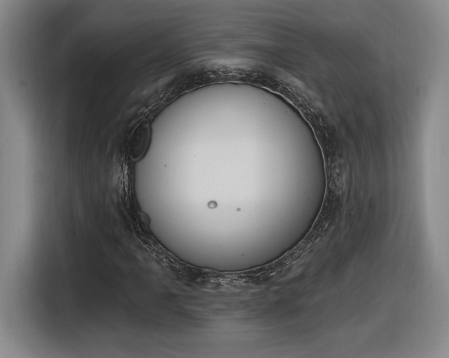 X0000116511061200912161334