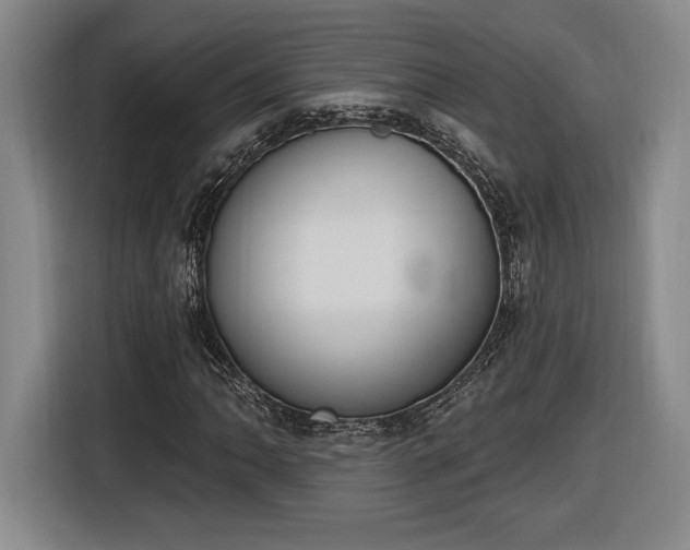 X0000116511062200912161334