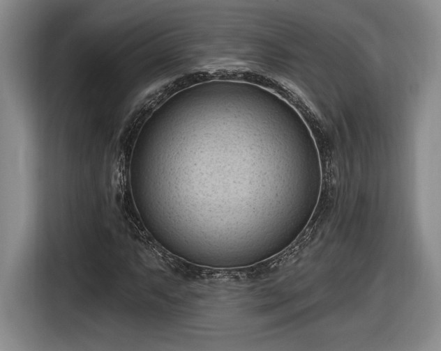 X0000116511063200912161334