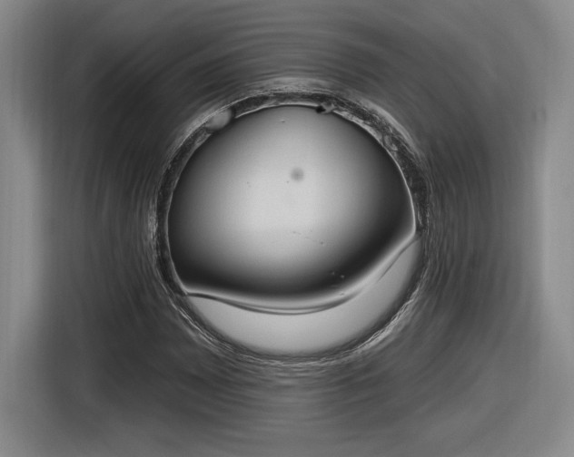 X0000116511065200912161334