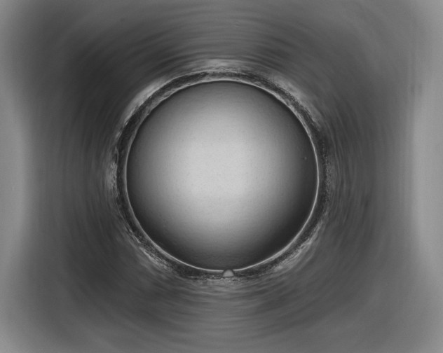 X0000116511066200912161334