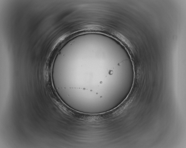 X0000116511067200912161334