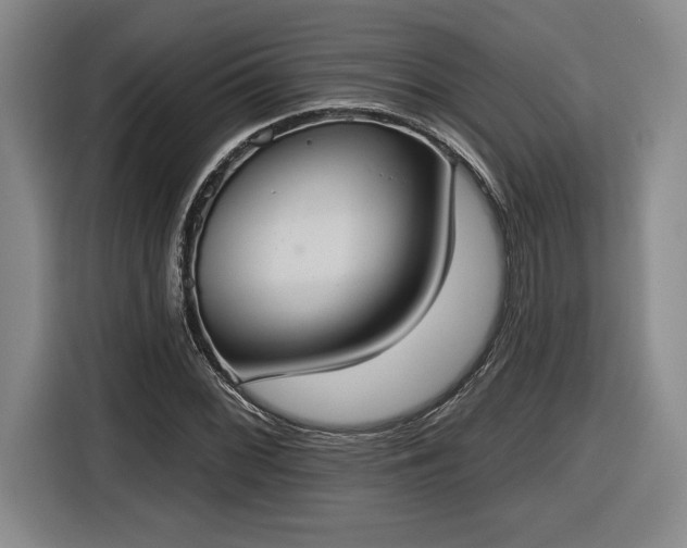 X0000116511068200912161334